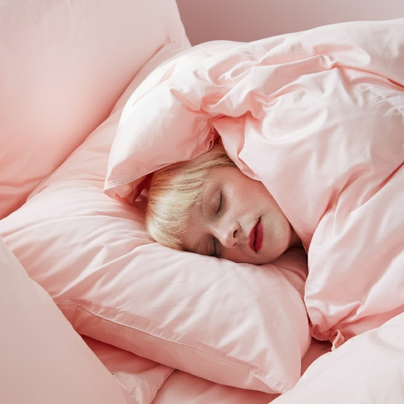 클래식패브릭 폴란드산 직수입 90 호텔 구스이불 겨울 SS