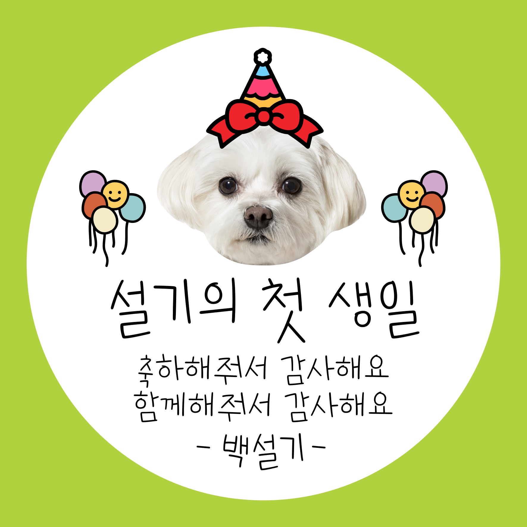 얼굴 사진 포토 답례스티커 어린이집 유치원 생일 시보해제 승진 소량 원형(40mm 12개) 이미지 8