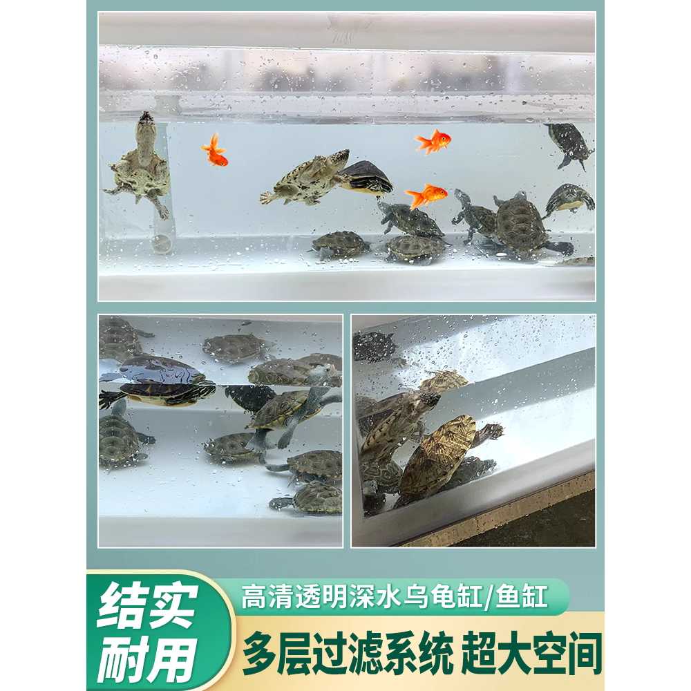 아크릴 어항 반수생 수서 육지 겸용 반려 거북이 베이지 122x60 순수탱크 - 상세 이미지 3