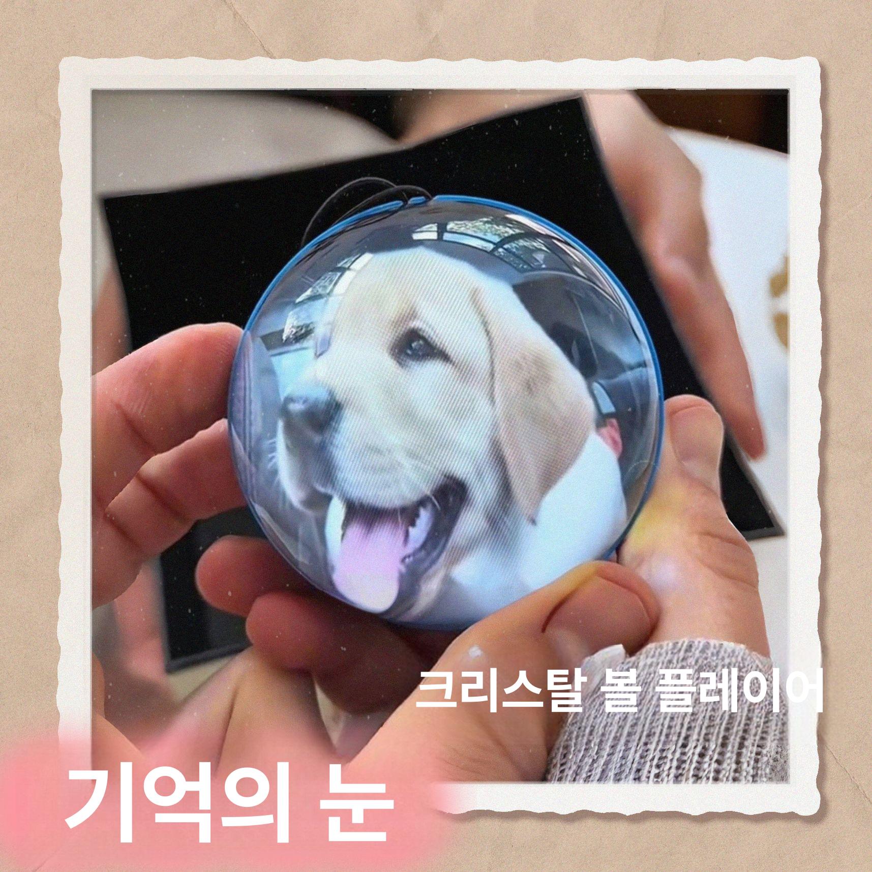 소울메모리볼 크리스탈공비디오 추억보관 수정구슬 팬시볼 블루 480x480 - 상세 이미지 2
