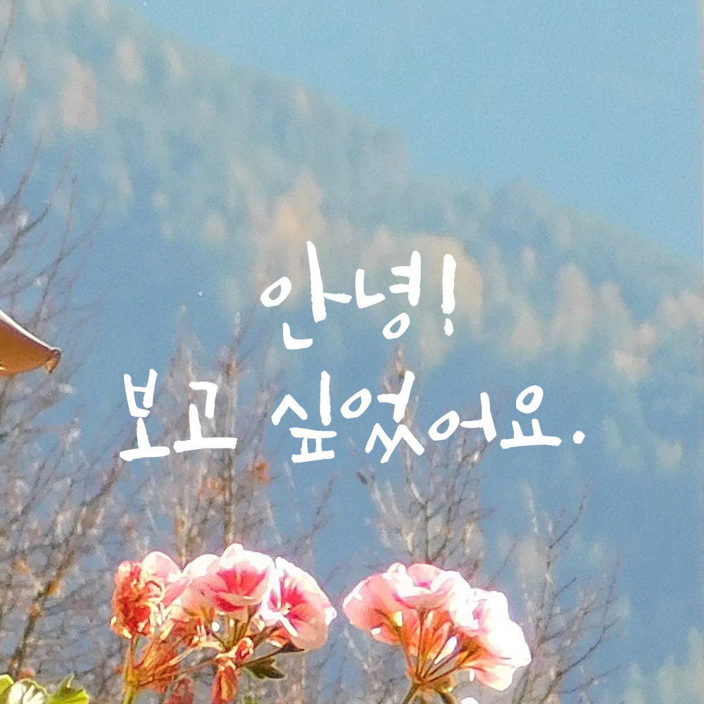 캘리그라피 레터링 스티커 안녕 보고 싶었어요 검정S 15.5x7.5cm - 상세 이미지 3