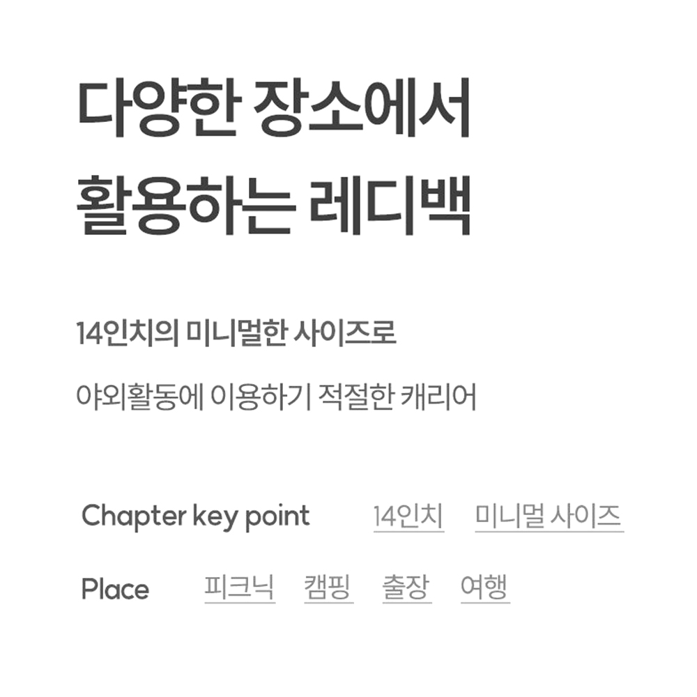 미니 캐리어 레디백 14인치 다용도 수납 여행 캠핑 보조가방 - 상세 이미지 4