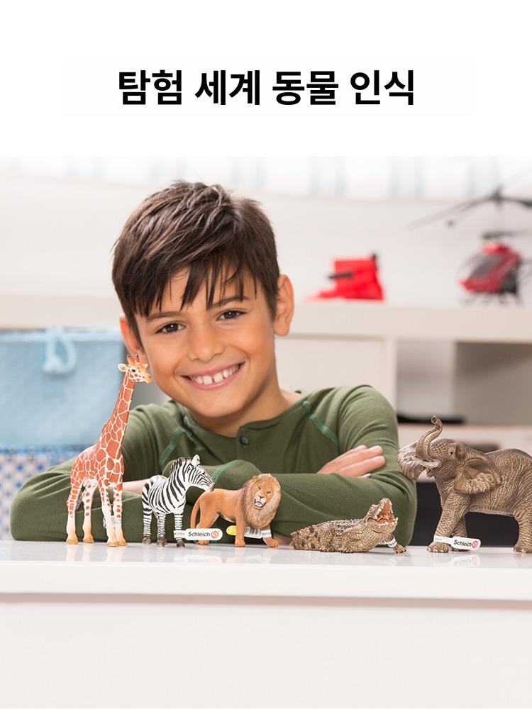 동물 피규어 치타 암컷 숫양 새끼 북극곰 수컷 정글 코끼리 초원동물 아프리카 사자 14812 - 상세 이미지 5