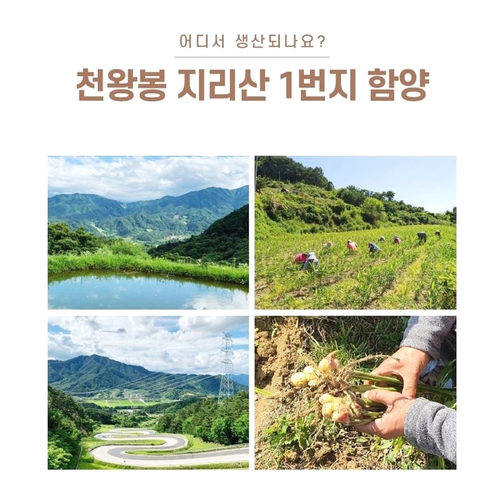 유기농 수제 생강청 비정제 건강즙 고농축 원액 - 상세 이미지 4