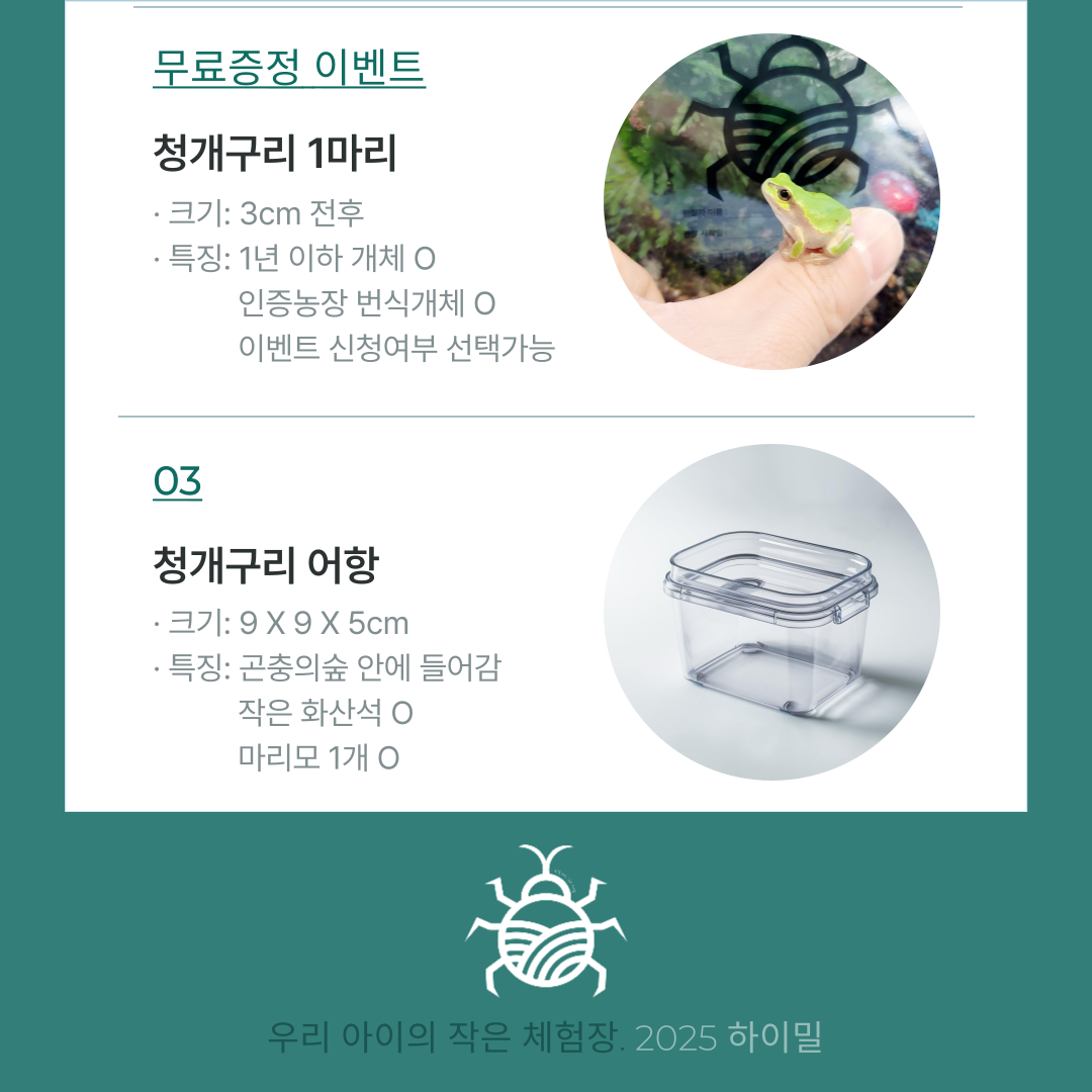 하이밀 청개구리 키우기 곤충의숲 비바리움 먹이포함 올인원 풀세트 이미지 6