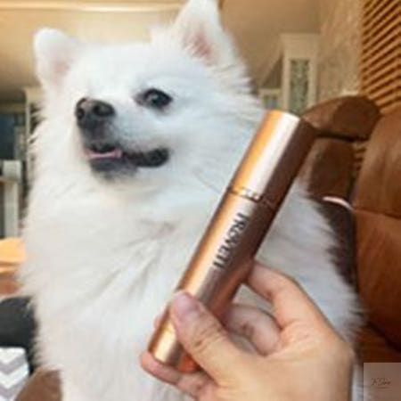 더진정 프로베티 구강청결제 50ml 고양이뿌리는치약 강아지양치스프레이