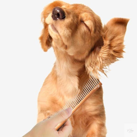 더진정 리케이 텐더 코스콤 반려견브러쉬 정전기방지애견강아지브러시 고양이엉킨털 고양이브러쉬