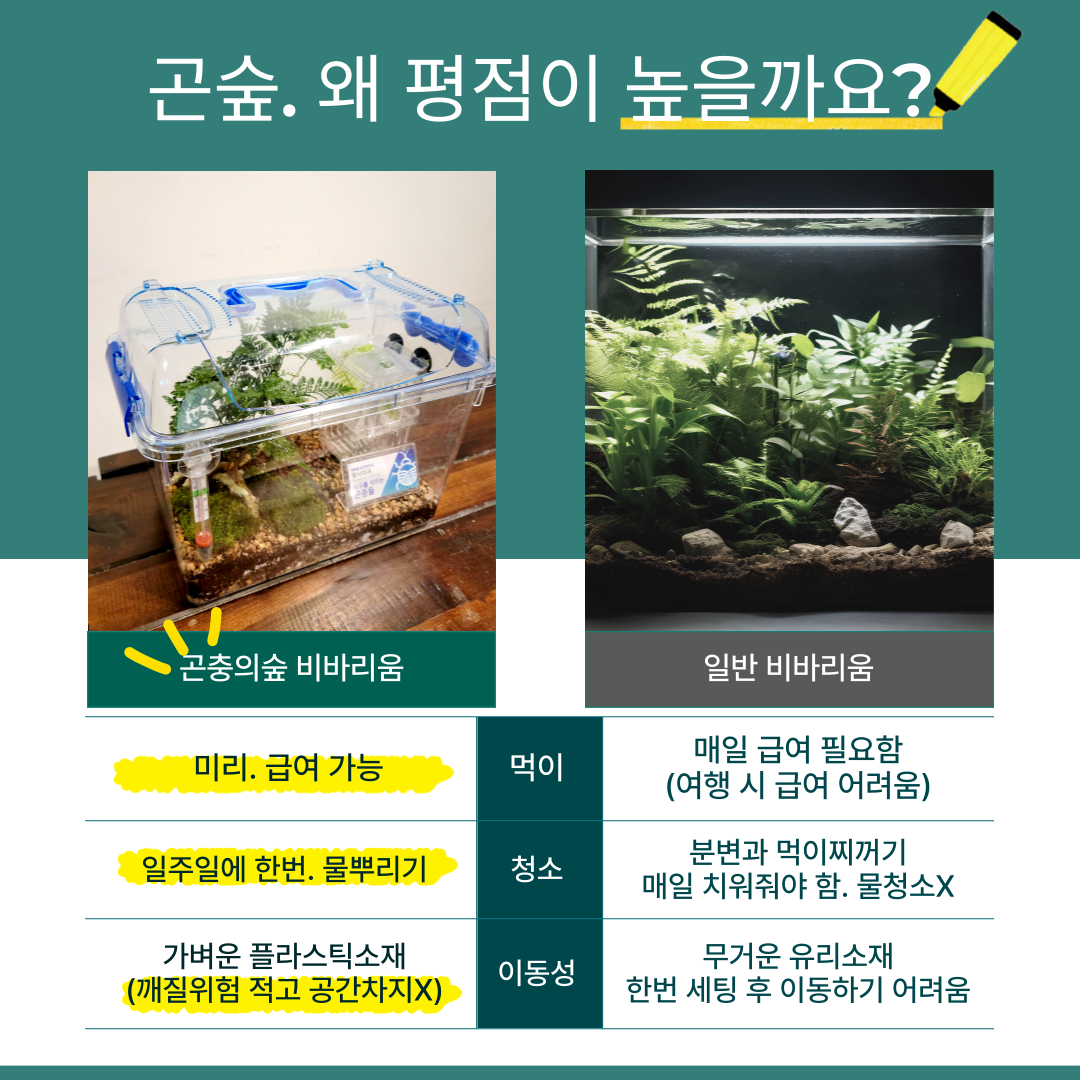 하이밀 청개구리 키우기 곤충의숲 비바리움 먹이포함 올인원 풀세트 이미지 8