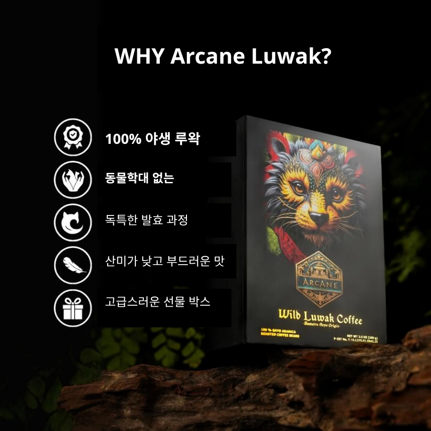 100% 루왁 인도네시아 아체가요 선물용 고급 야생 루왁커피 사향고양이 - 상세 이미지 3