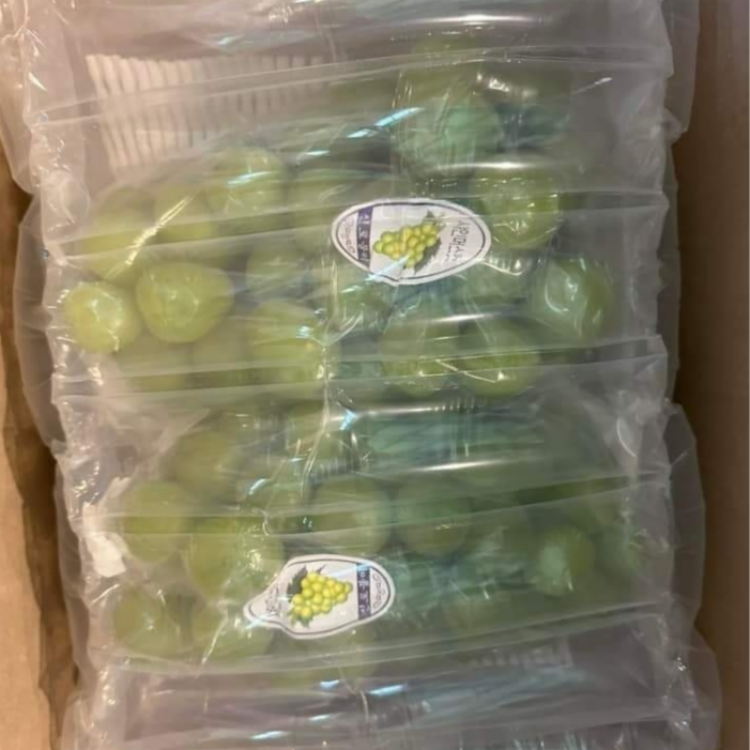 자연가득 달콤 향긋 당일수확 (행사) 샤인머스켓 포도 2kg 3수 4kg 4-5수 - 상세 이미지 5