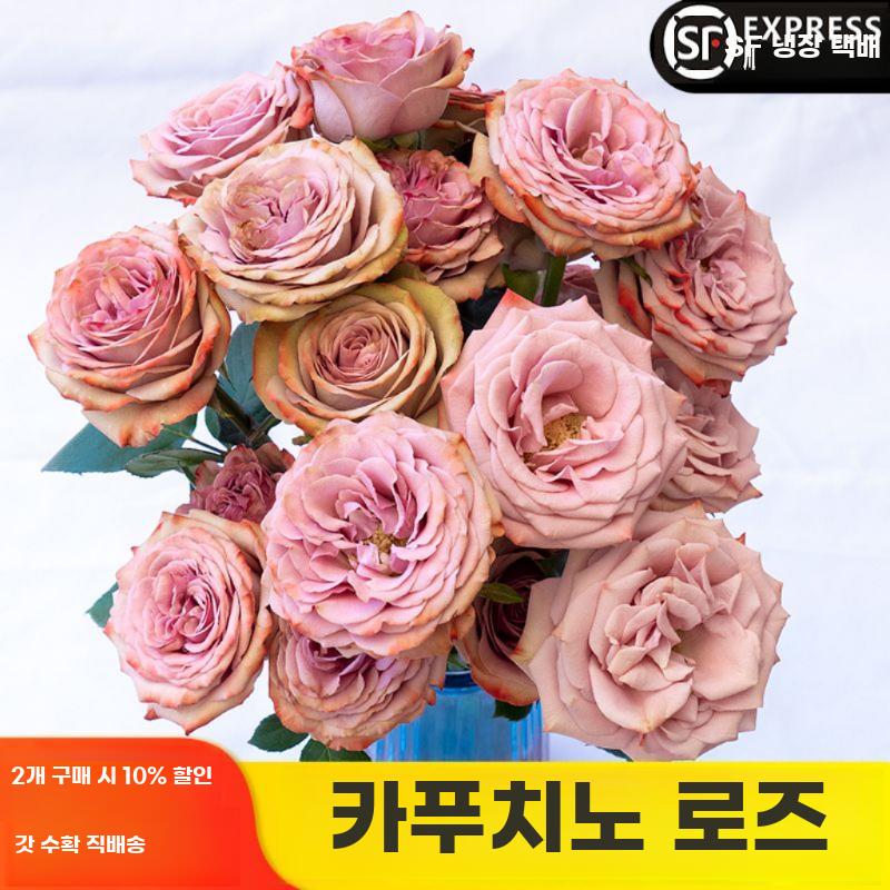 파란장미조화 파란장미 큰 푸른 이벤트꽃 - 상세 이미지 2