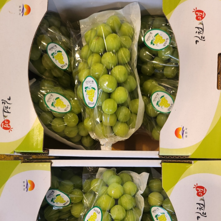 자연가득 달콤 향긋 당일수확 (행사) 샤인머스켓 포도 2kg 3수 4kg 4-5수 - 메인 이미지