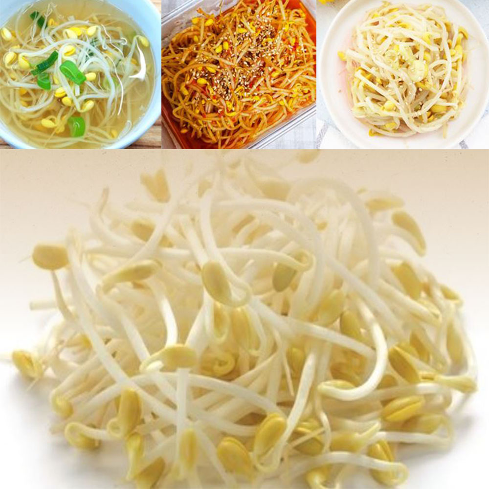 무농약 산소 콩나물 1kg 국산콩 안전 야채 먹거리 - 상품 이미지