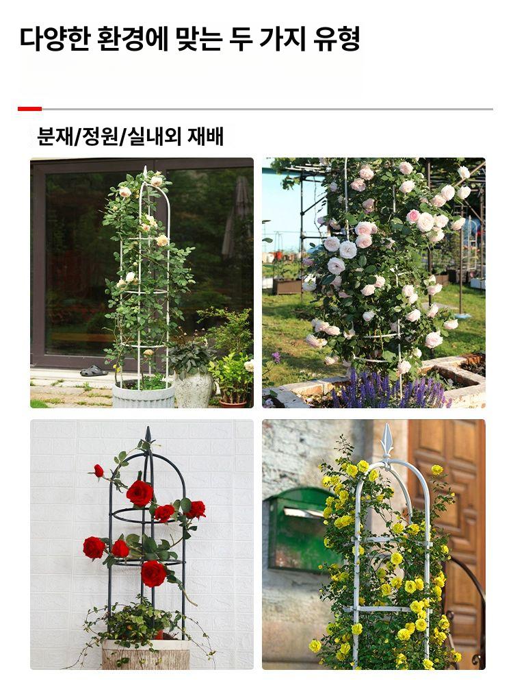 넝쿨 스탠드 식물지지대 야외 덩굴 오벨리스크 철제 고정 지지대 덩쿨 등나무 분재 정원 화이트 25cmx높이 1.2m 특대 - 상세 이미지 2