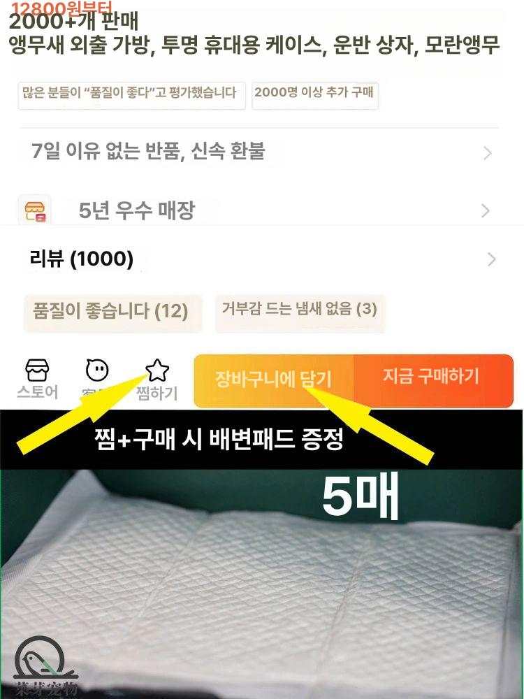 앵무새전용 외출가방 케이스 더스트커버 보관가방 네이비 변형방지 장비 가방 산책 블랙 스탠다드 - 상세 이미지 3
