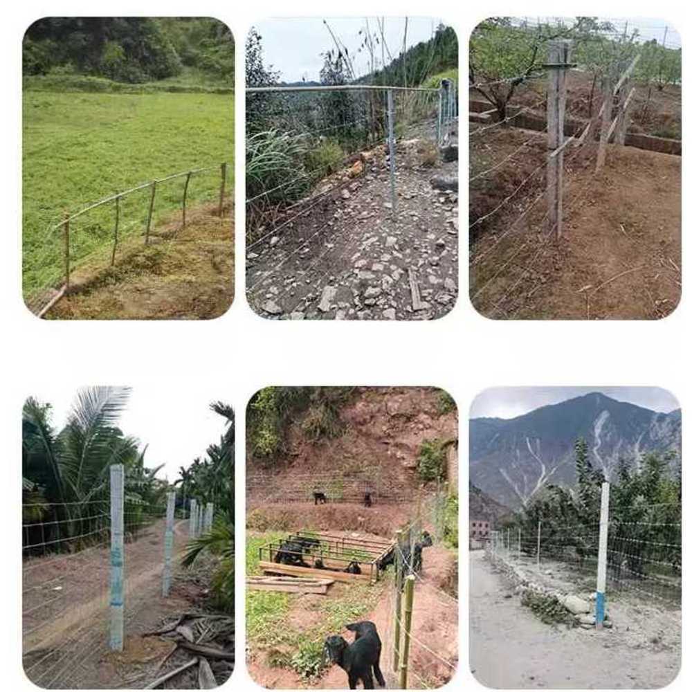 아연 철망 도금 처리 펜스 건축 자재 울타리망 닭장 A형 1.0m-20cm-2.0T-100m - 상세 이미지 3