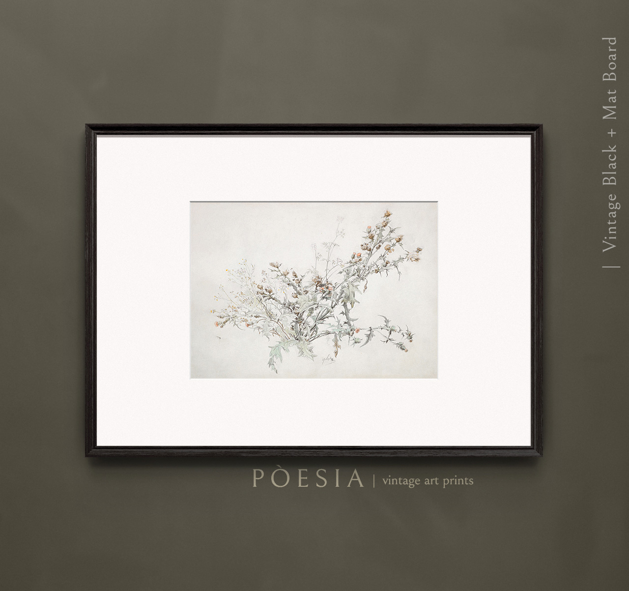 [카를 게오르크 안톤 그랩] Study of a Flowering Thistle 54.9×39.8 cm 매트&액자 포함 - 상세 이미지 2