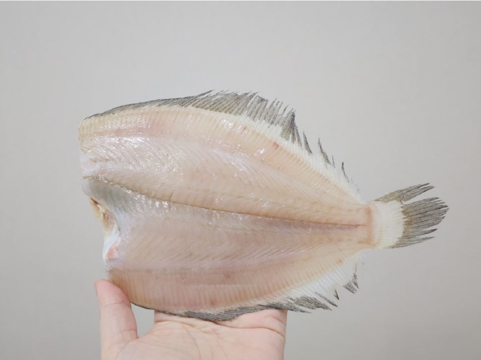 반건조생선 국내산 두절 반건조 가자미 1kg 9-12미 - 상세 이미지 3