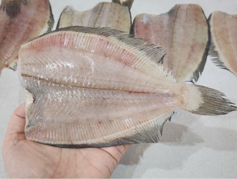 반건조생선 국내산 두절 반건조 가자미 1kg 9-12미 - 상세 이미지 4