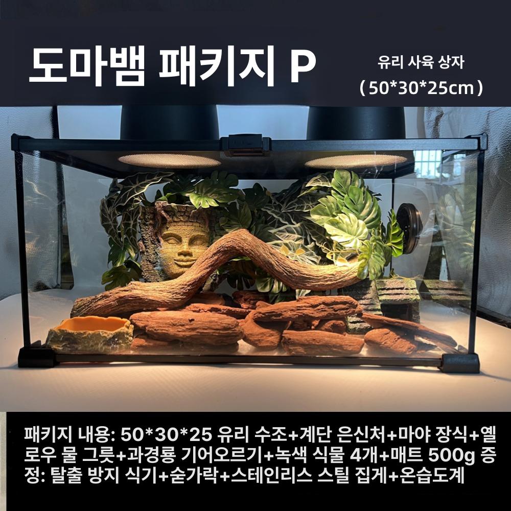 크레스티드게코 도마뱀 파충류 장식 사육장 소품 - 상세 이미지 5