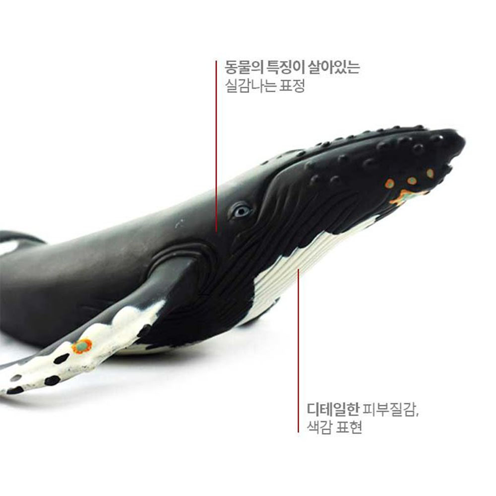 미니 피규어 혹등고래 말랑말랑 바다 자연학습 모형 - 상세 이미지 3
