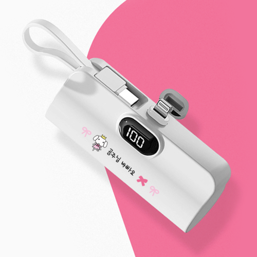 아이폰 갤럭시 LED 2in1 일체형 도킹형보조배터리 5000mAh - 상세 이미지 3