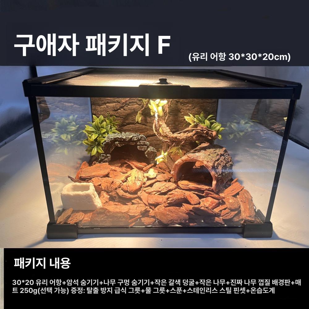 크레스티드게코 도마뱀 파충류 장식 사육장 소품 - 상세 이미지 2