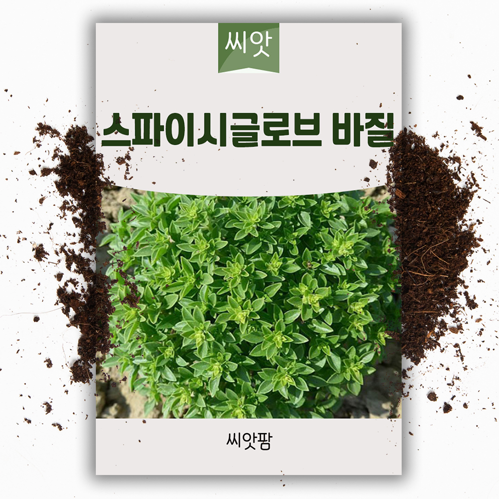 스파이시글로브 바질씨앗 100립 공모양 허브 씨앗 허브씨 종자 바실 - 상품 이미지