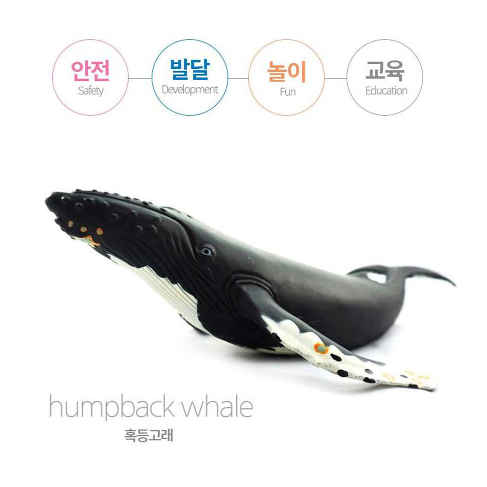 미니 피규어 혹등고래 말랑말랑 바다 자연학습 모형 - 상세 이미지 2