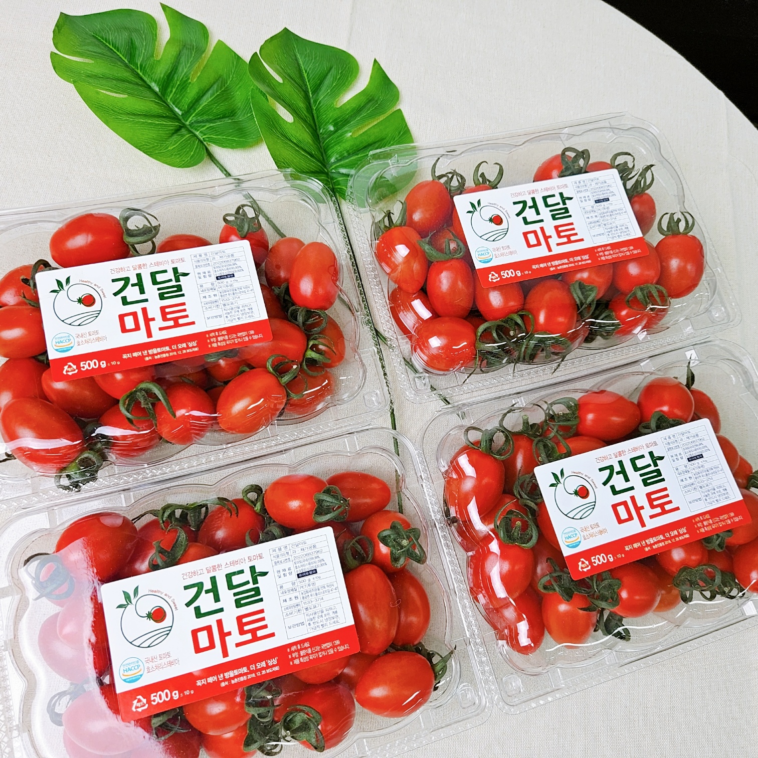 스테비아 방울토마토 500g 자연 단맛 방울토마토 1kg 이미지 8