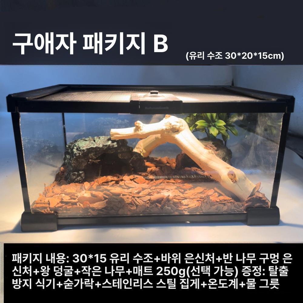 크레스티드게코 도마뱀 파충류 장식 사육장 소품 - 상세 이미지 4