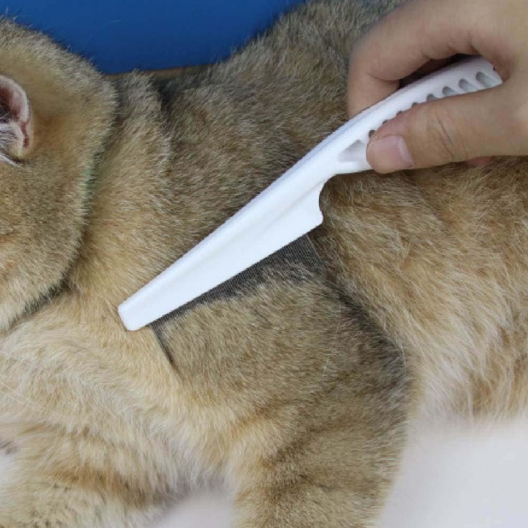 고양이브러쉬 참빗 소형 강아지콤빗 눈꼽빗 - 메인 이미지