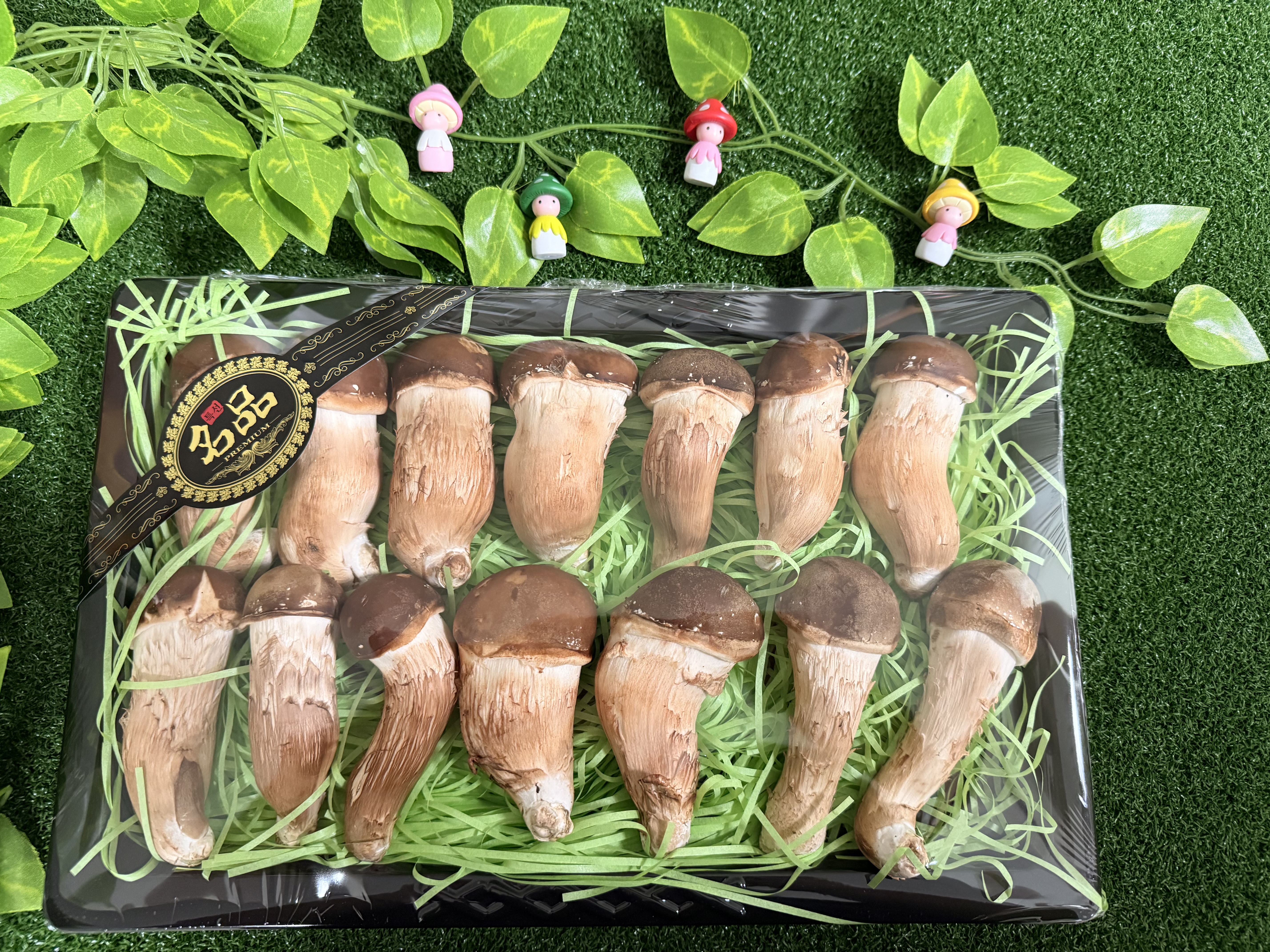 참송이버섯 유기농 무농약 농장직송 국내산 송이버섯 1kg 가정용 선물용 업소용 - 상품 이미지