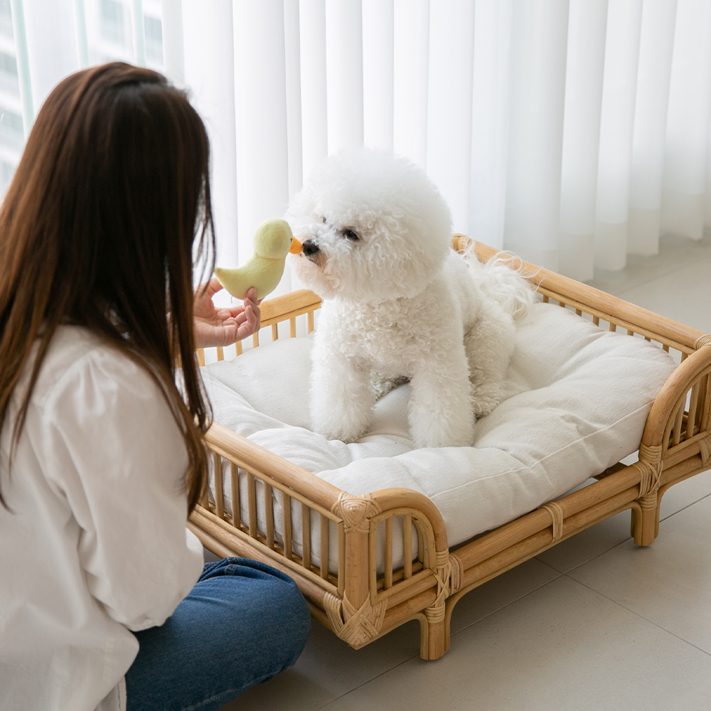 라탄 강아지침대 쇼파 고양이해먹 애견 펫베드 원목침대 반려견