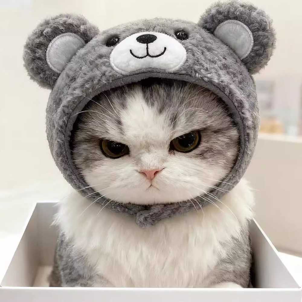 애완묘 고양이 헤어밴드 머리끈 - 상세 이미지 4