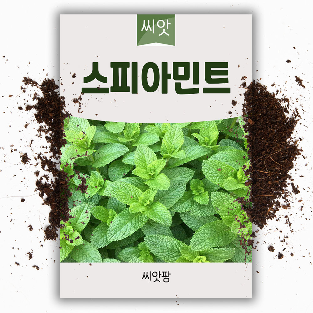 스피아민트씨앗 500립 허브 민트 씨앗 종자 허브키우기 - 상품 이미지