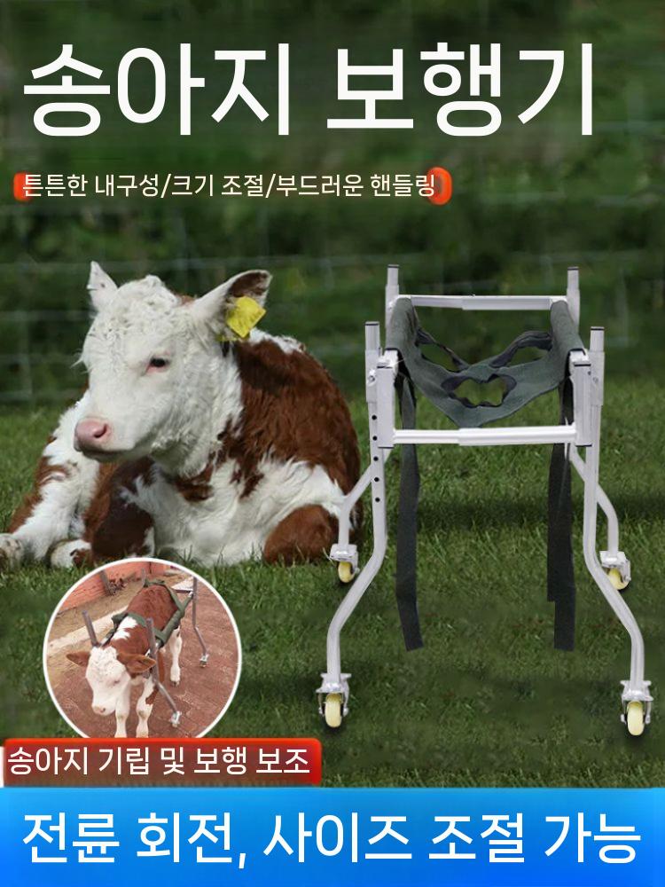 송아지 보행기 농장 걷기 사육 스탠딩 연습 축산 가축 스탠드(특급 송) - 상세 이미지 2