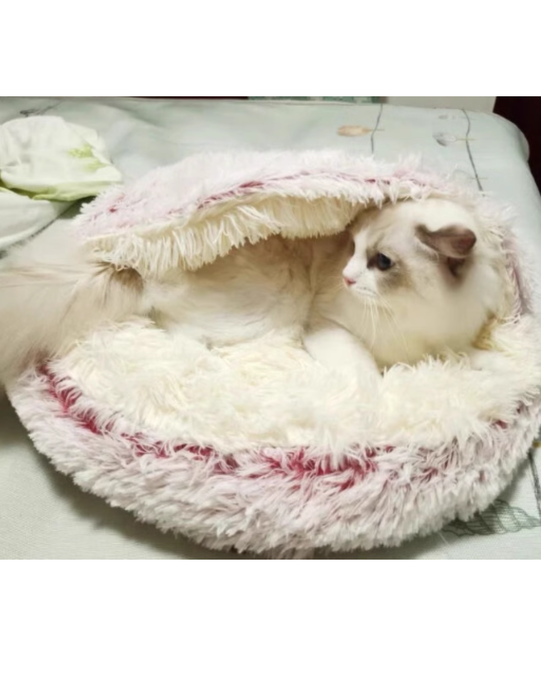 고양이 겨울 집 고양이 숨숨집 따뜻한 고양이 하우스 고양이 겨울 하우스 고양이 집 후기