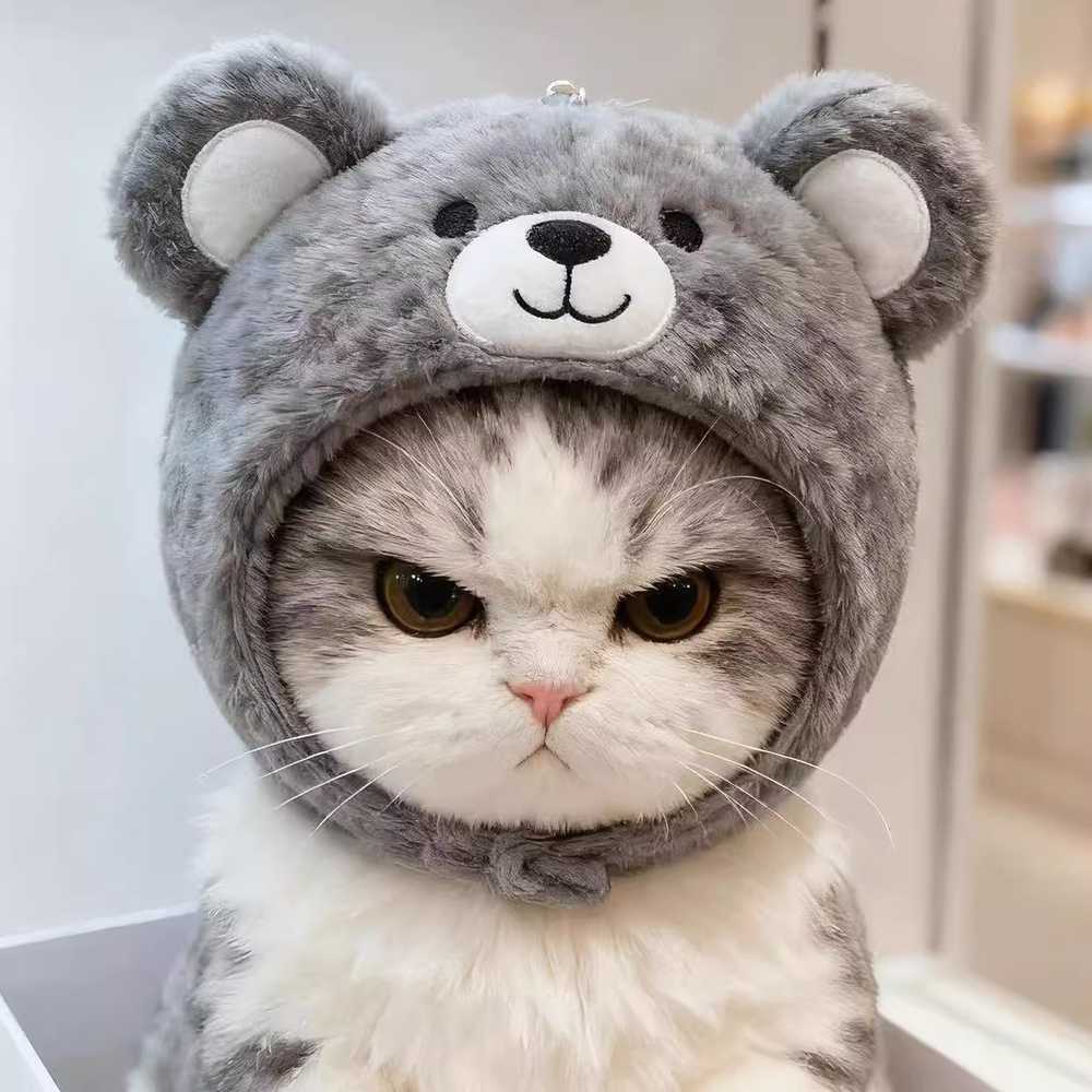 애완묘 고양이 헤어밴드 머리끈 - 상세 이미지 3