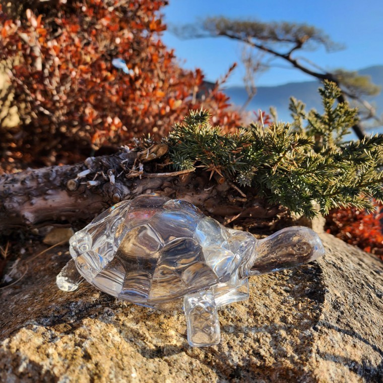 돈거북 개업선물 재물운 생기 풍수 영롱한 투명 거북이 - 상품 이미지
