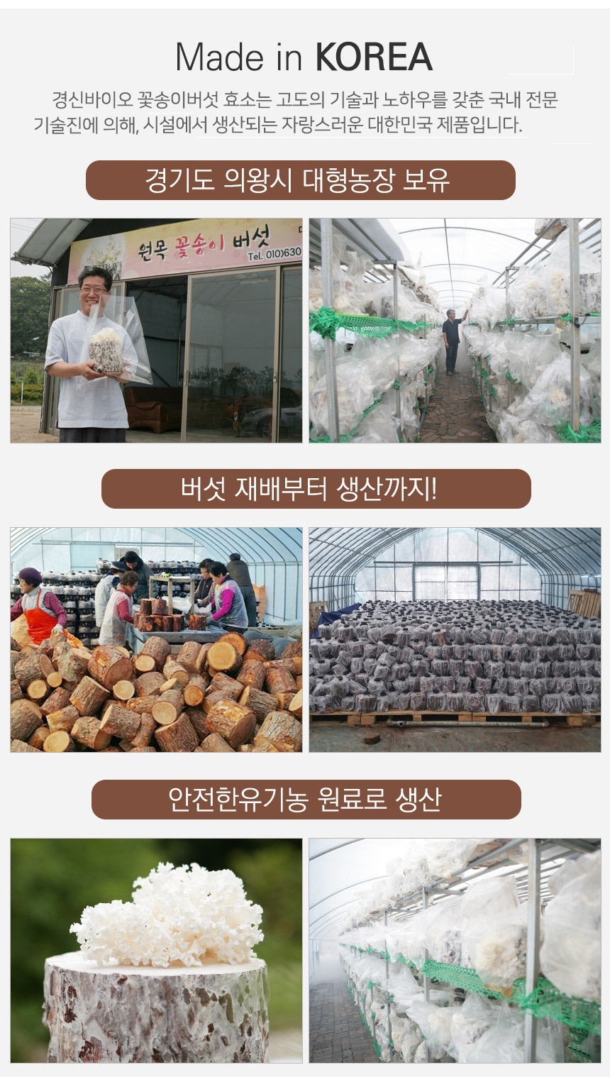 발효꽃송이버섯 효소 발효현미버섯 천미 꽃송이버섯 스틱형 90포 6개 1개더 총7박스 이미지 7
