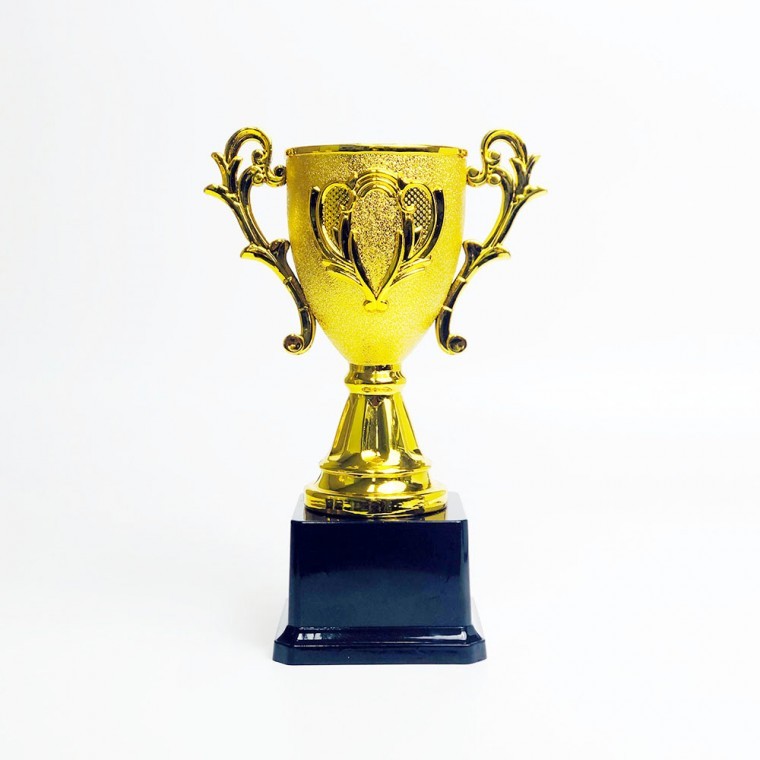 미니트로피 우승컵 축구 태권도 체육대회 상장 (대형) - 상품 이미지