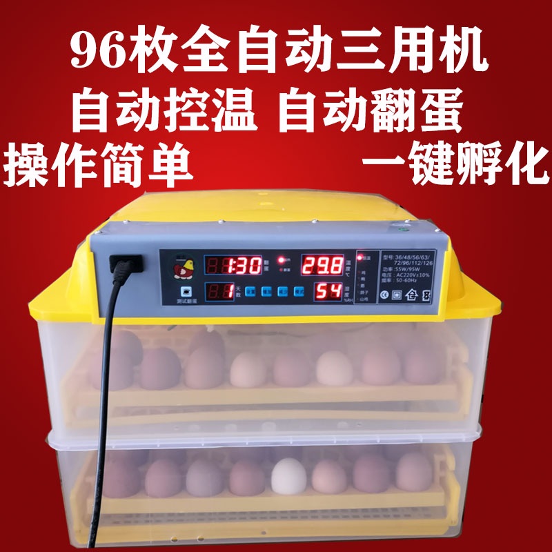 병아리부화기 메추리 달걀 온도조절기 부화용 오리 자동 인큐베이터 계란 - 상세 이미지 4