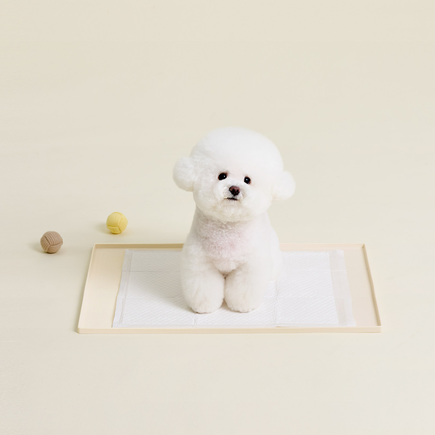 울리 도트 실리콘 배변매트 강아지 배변판 식기매트 60 - 상품 이미지