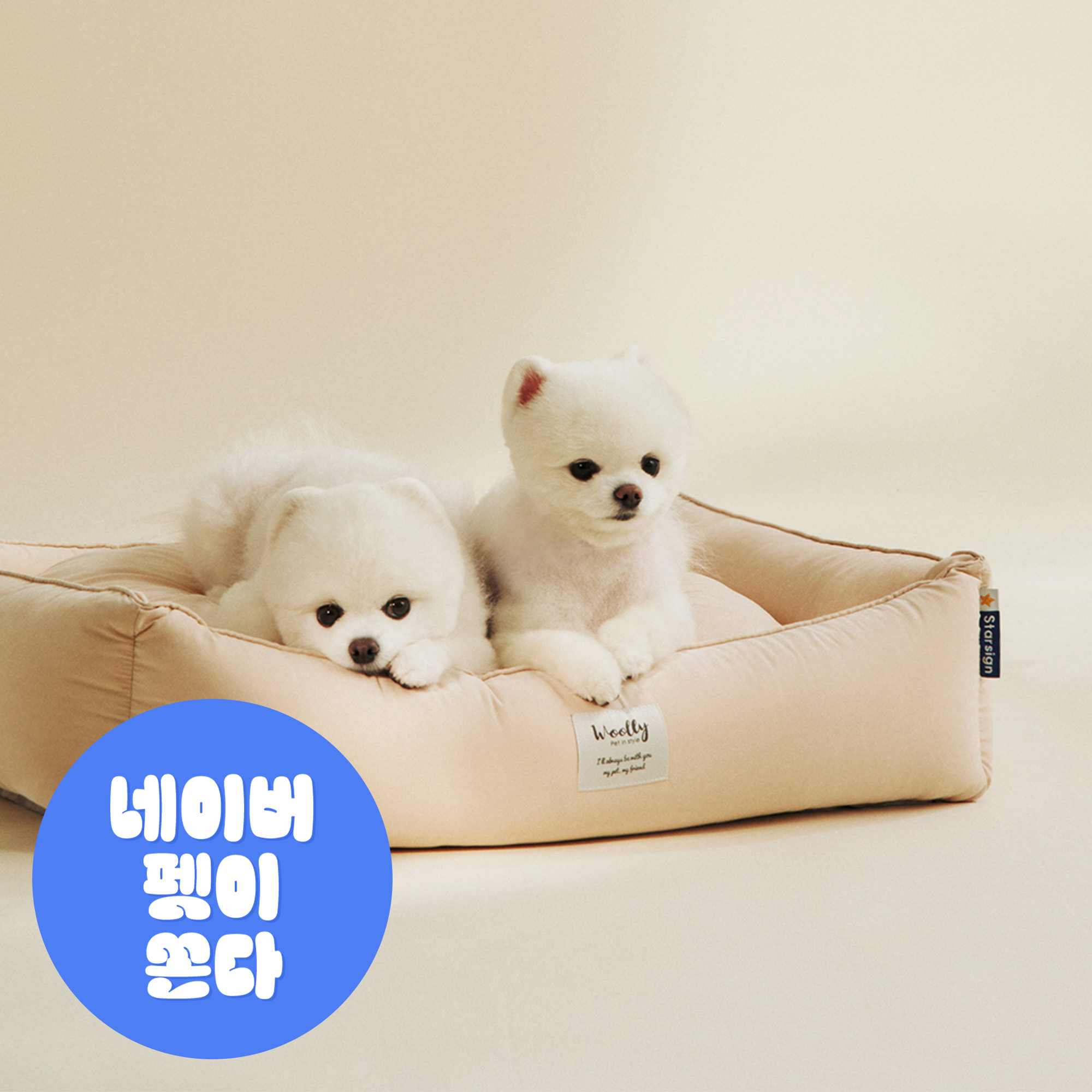 울리 포그니 알러지케어 강아지 방석 고양이 쿠션 M - 상품 이미지