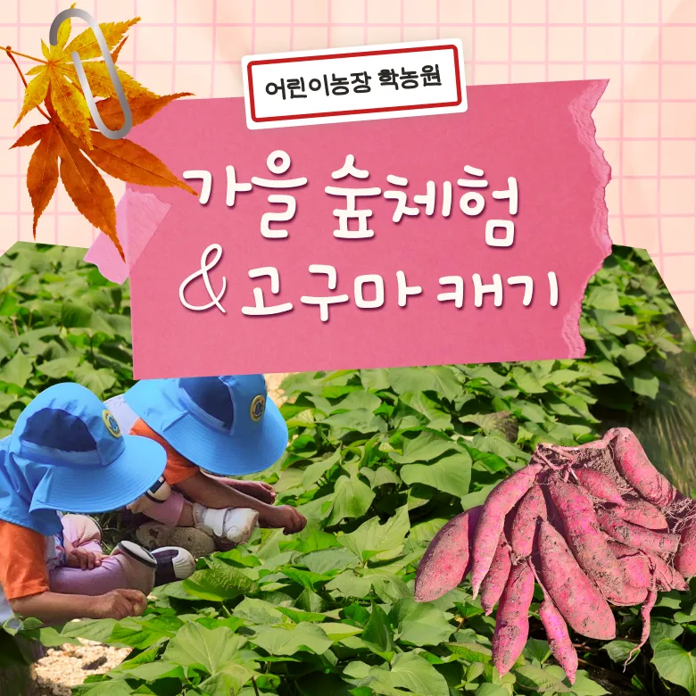 [평택 어린이농장] 숲체험 밧줄놀이 물놀이 보호자 자유입장 by 어린이농장학농원