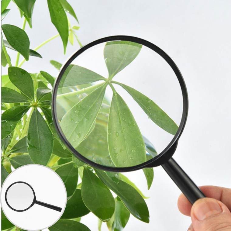 독서보조도구 확대경 고화질 노안용 휴대용 돋보기 - 상품 이미지