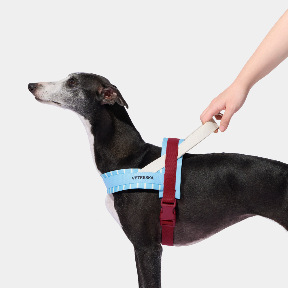 VETRESKA 미스트앤멀로 강아지 하네스 가슴줄 소형견 중형견