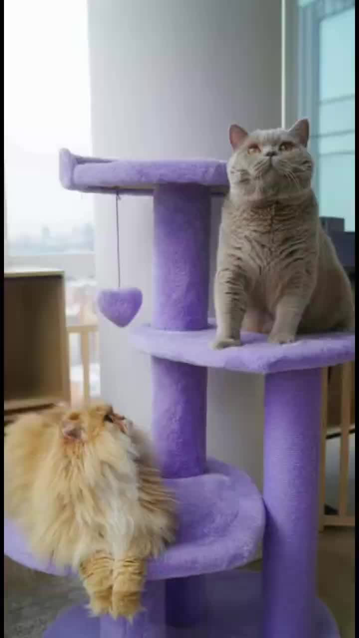 VETRESKA 하트퍼플 캣타워