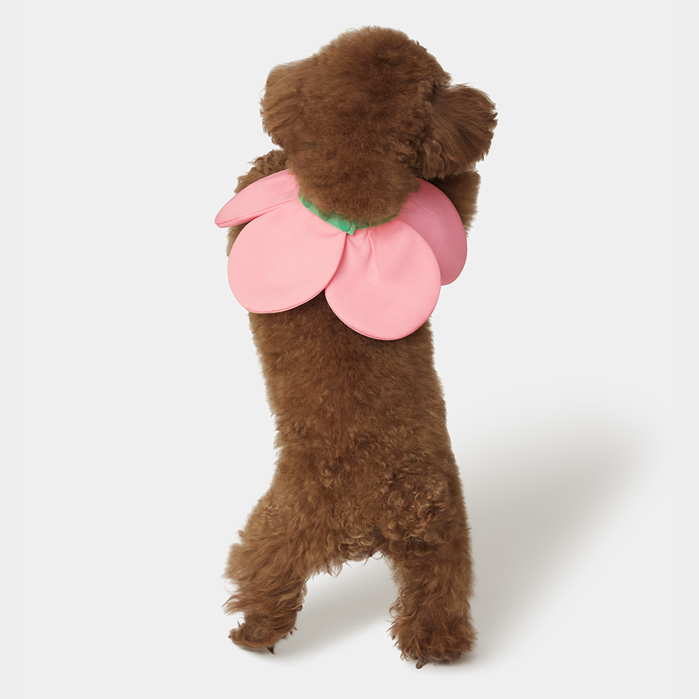 VETRESKA 플라워 강아지 케이프 고양이 스카프 턱받이 머플러 레이스 이미지 8